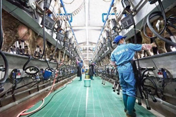 招财猫配资 新乳业一季度净利润同比增长48.46%