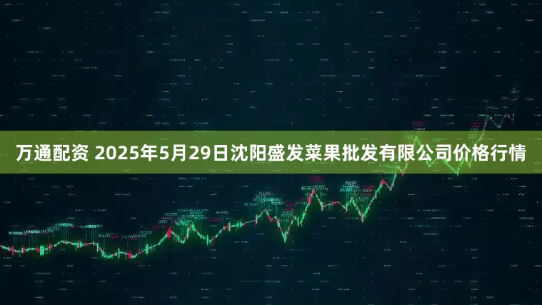 万通配资 2025年5月29日沈阳盛发菜果批发有限公司价格行情