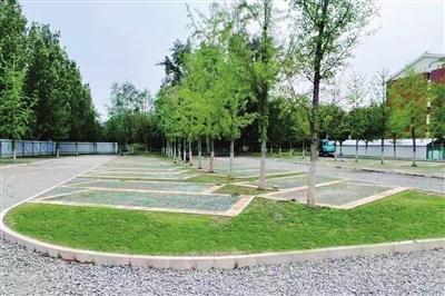 策略宝 以“绣花”功夫“织”出治理实效——四季青镇7条道路新增658个智慧车位