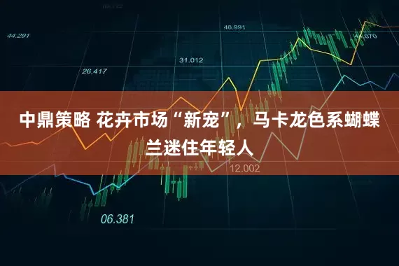 中鼎策略 花卉市场“新宠”，马卡龙色系蝴蝶兰迷住年轻人